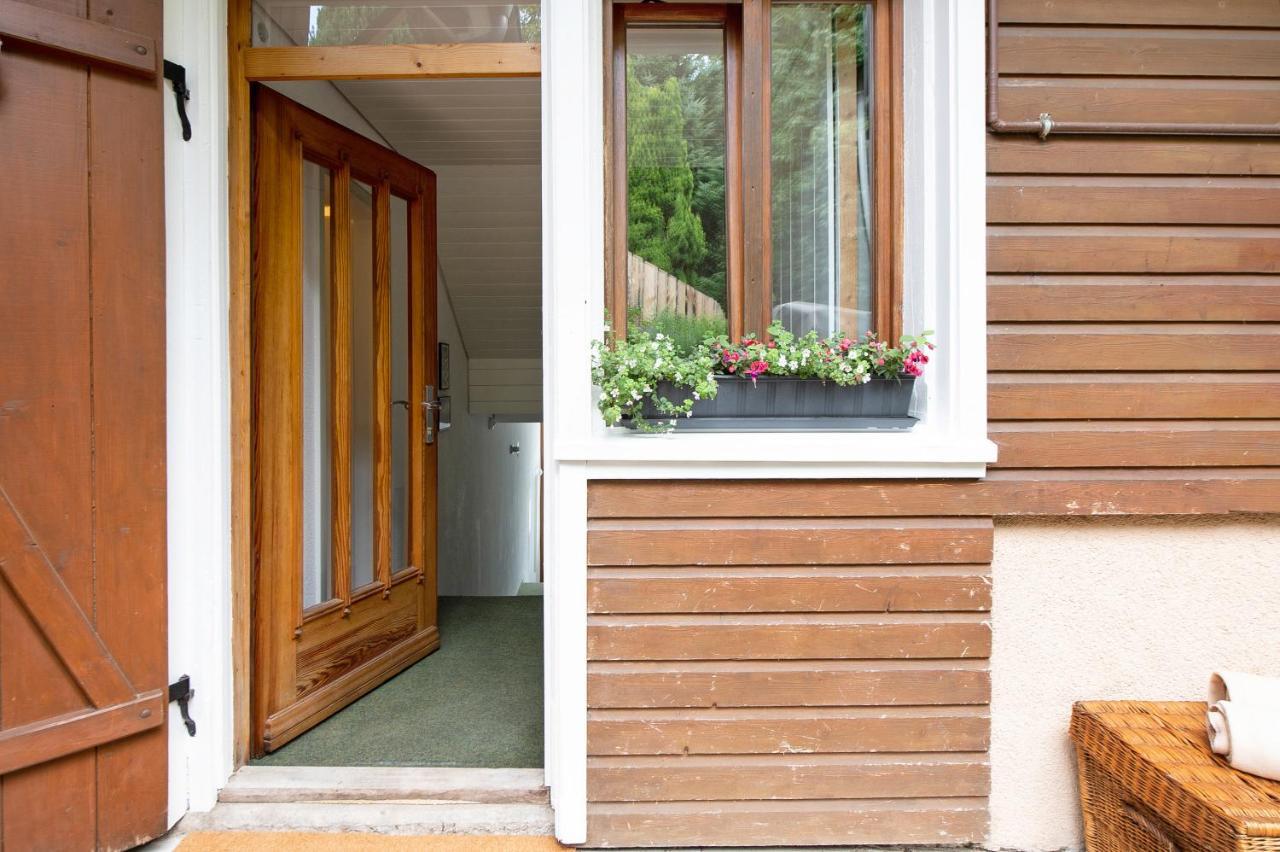 Apartament Haus Bergruh Fuchsbau Todtnauberg Zewnętrze zdjęcie